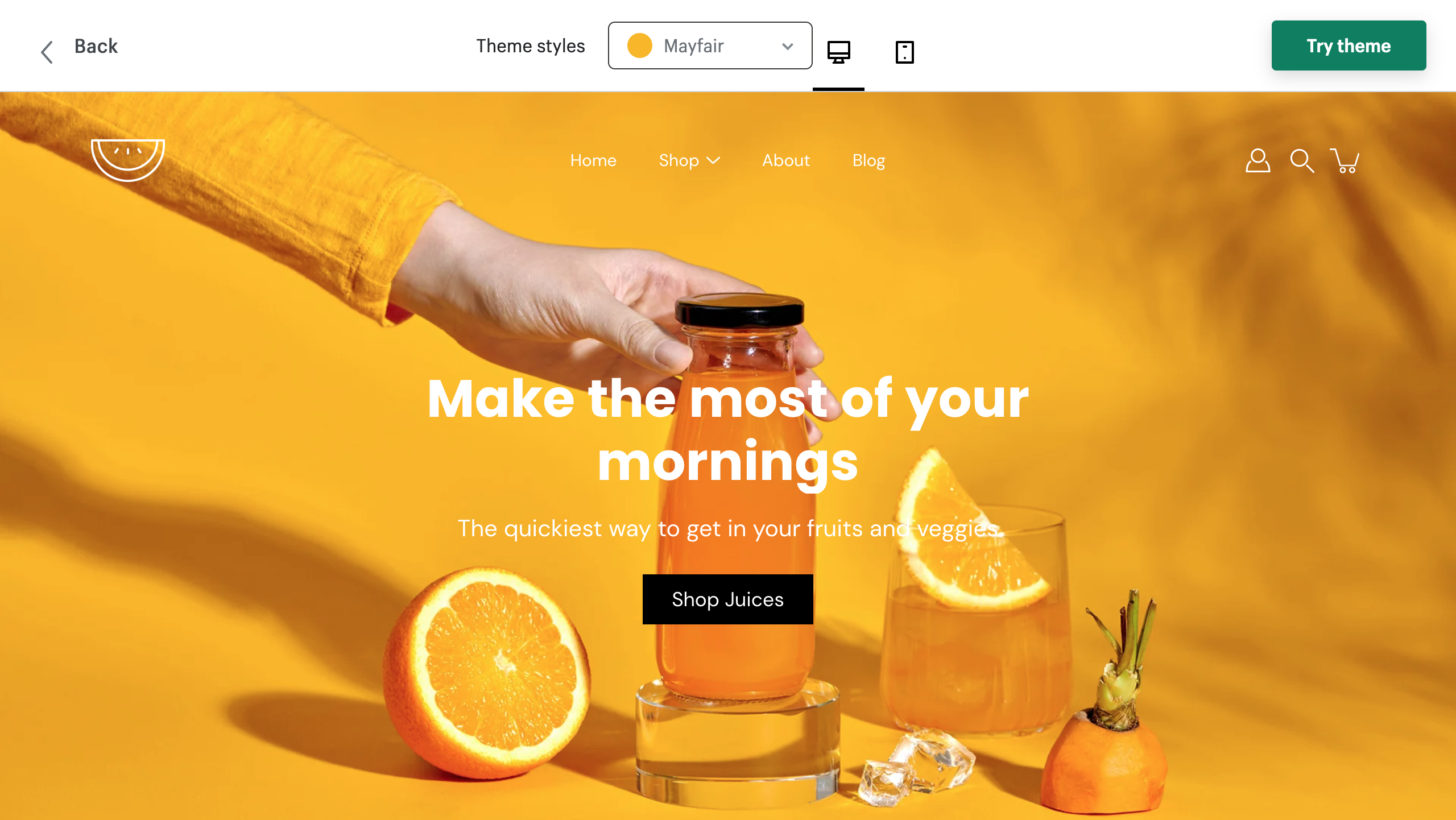 modular shopify theme